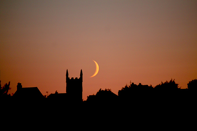 Moon Over Pirate Day