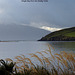 Dingle Bay