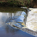 The weir just before the old mill race
