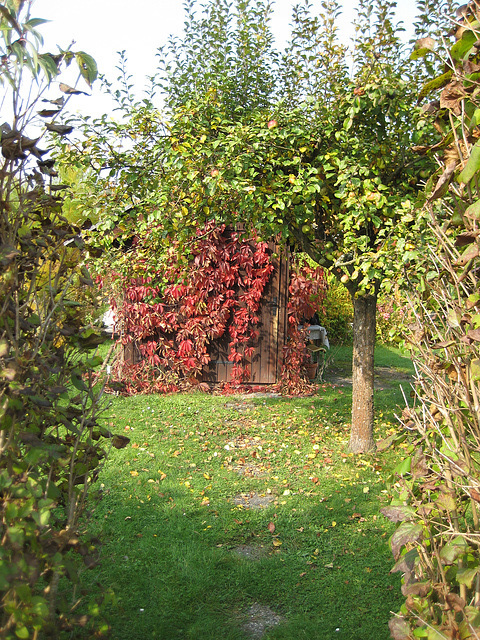 Herbst:  Blick zum Hütteneingang