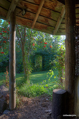 Passageway through the Hawthorns