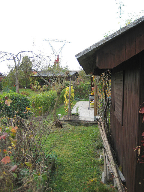 Herbst: die Frühlingstamariske hinter der Hütte wurde geschnitten