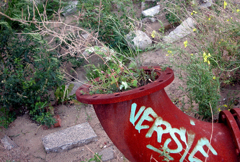 Pipe sprouting weed