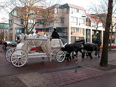 White carriage and black horses