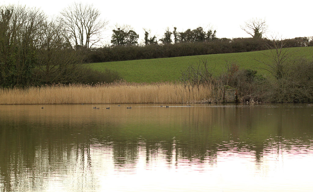 Pebsham Pond