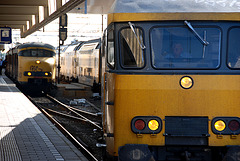 Train to Haarlem arriving