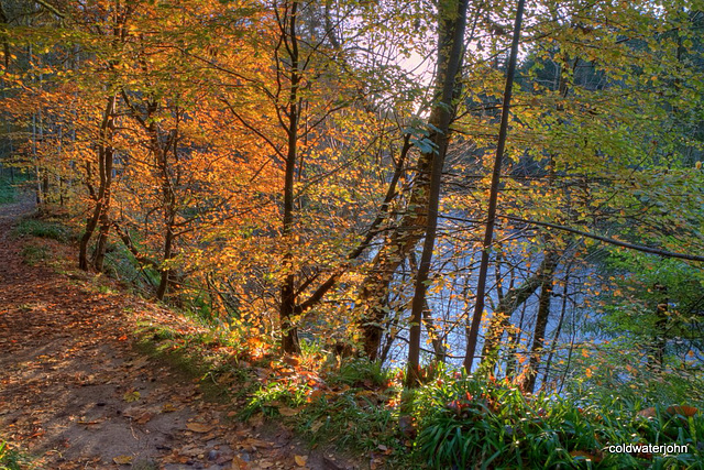 The River Findhorn at Relugas