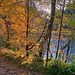 The River Findhorn at Relugas
