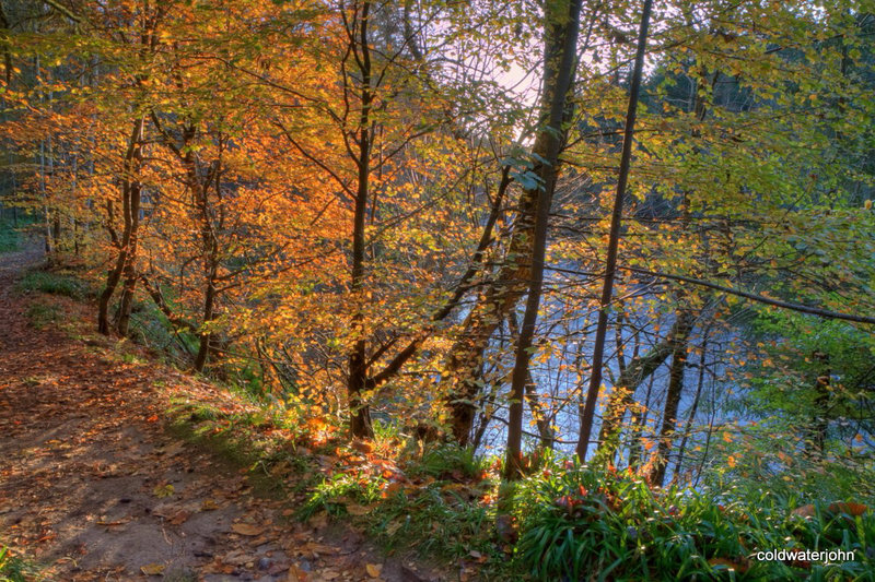 The River Findhorn at Relugas