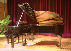 The new Steinway