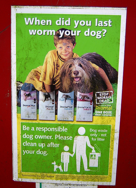 'When Did You Last Worm Your Dog?'