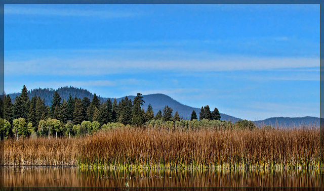 Reeds Against the Sky on Upper Klamath Lake