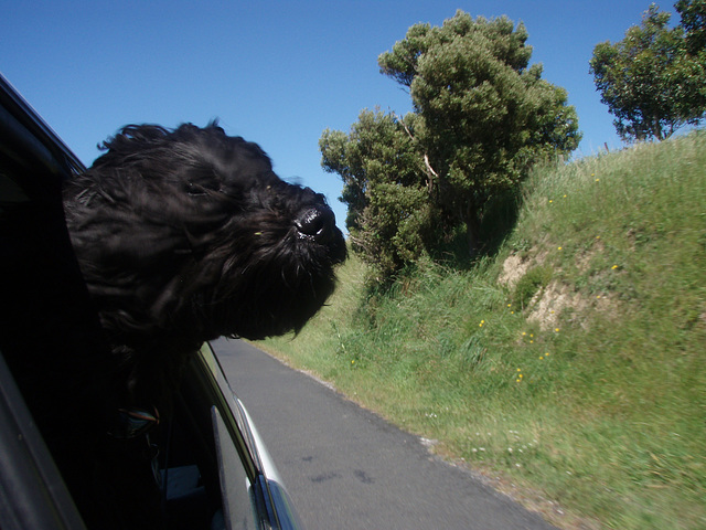 feeling the wind