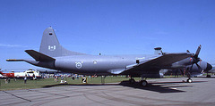 Lockheed CP-140 Aurora 140116 (Canadian Armed Forces)