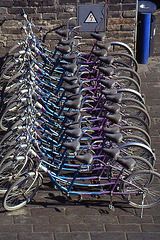 Bikes for Hire