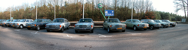 At the Mercedes-W123 meeting