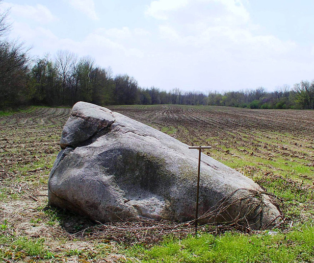 Madison Erratic