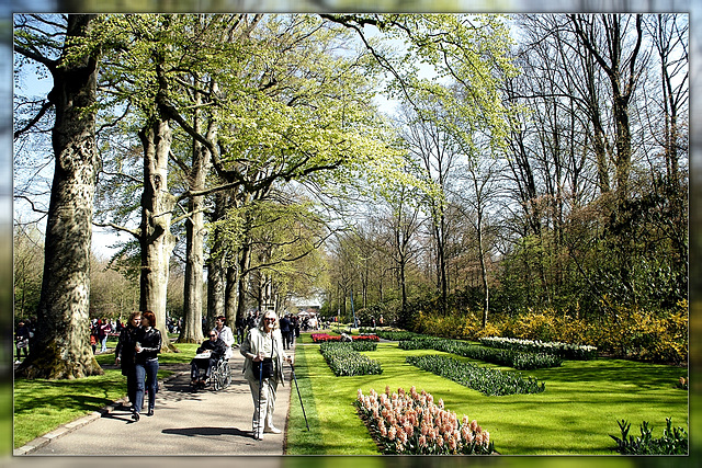 keukenhof