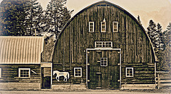 Old Barn