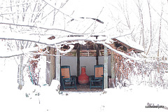 More an igloo than a gazebo with each passing day 5277401954 o