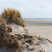 Sand - 20130512