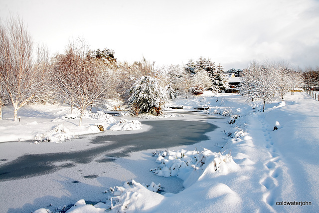 Join me for an early morning walk round the pond 5214454072 o