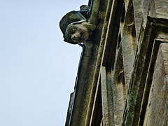 westwood church