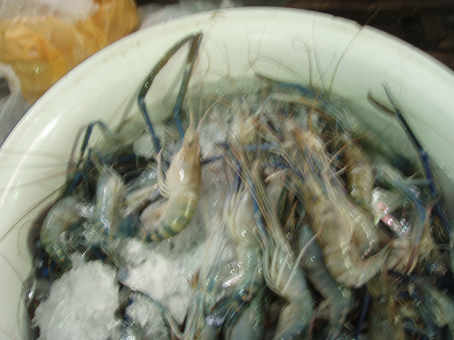 market - prawns