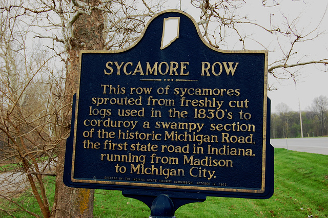 Sycamore Row