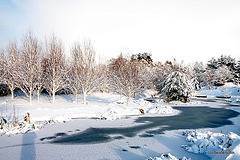 Join me for an early morning walk round the pond 5214454888 o