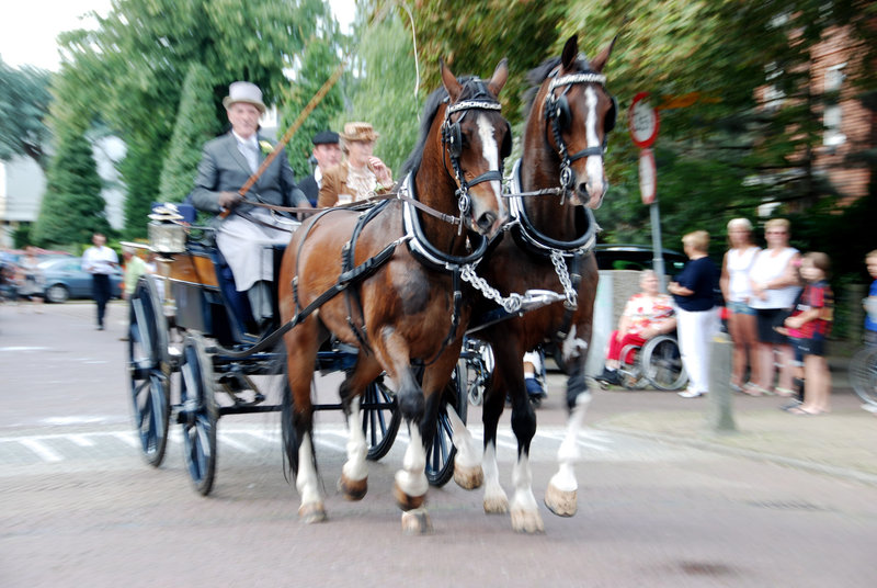 Carriages in Bloemendaal