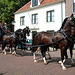 Carriages in Bloemendaal