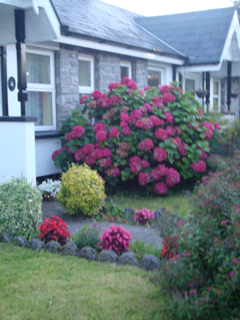 Ireland 265