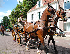 Carriages in Bloemendaal