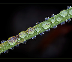 More Droplets To Die For [Explore]