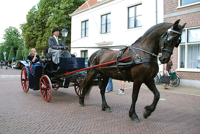 Carriages in Bloemendaal