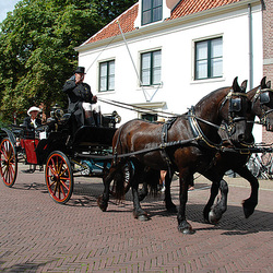 Carriages in Bloemendaal
