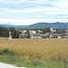 Blick auf Ebenthal von der Bergstraße