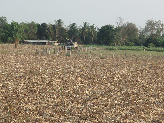 en route to Kanchanaburi