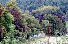 Pluscarden Abbey Grounds in Autumn