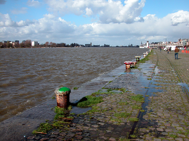 High water at Antwerp today