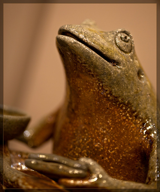 Penelope Dews: Frog Closeup