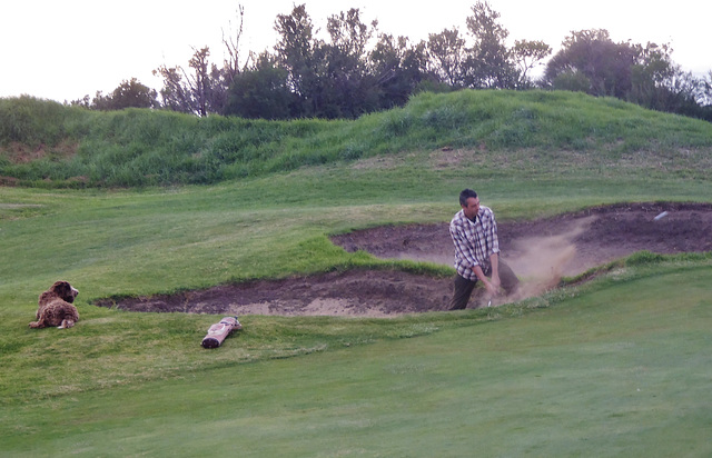 late afternoon golf in Rye