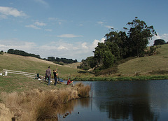 eel fishing