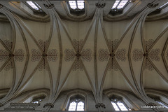 Wells Cathedral Main ceiling detail