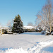 Front lawn evergreens and silver birch 5283739728 o