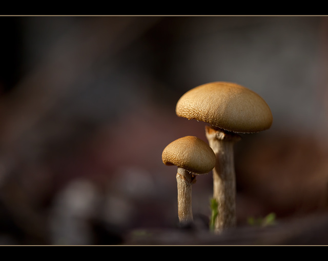 Father & Son and Words About Wisdom [Explore]