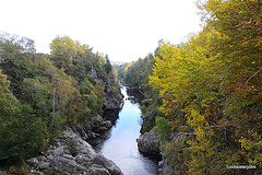 The Findhorn in autumn 5068975103 o