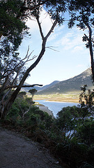 Tidal River