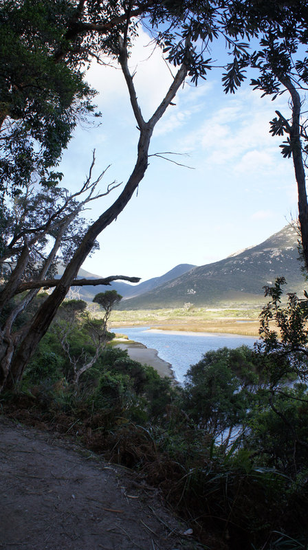 Tidal River